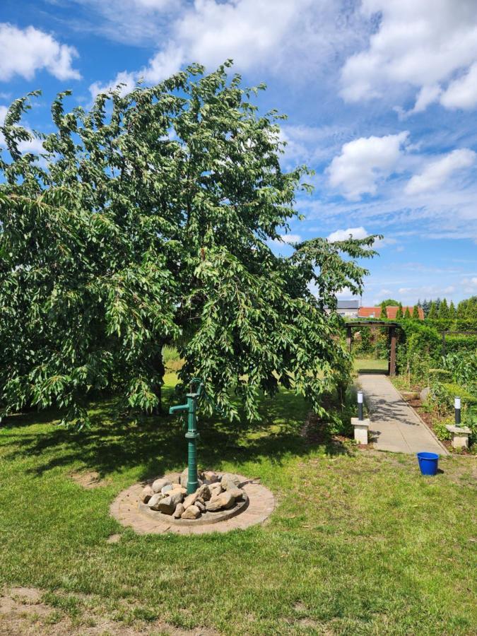 Neumuhler Hof: Spacious Family Retreat With Garden Terrace Apartment